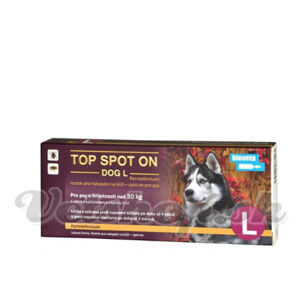 TOP SPOT ON STRONGER DOG - Image 3